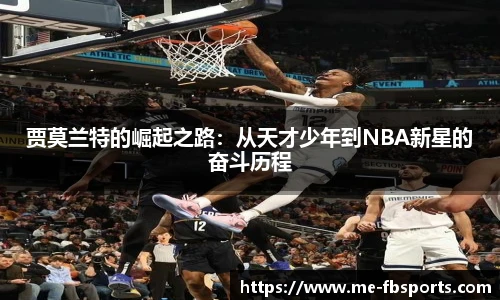 FB体育官网