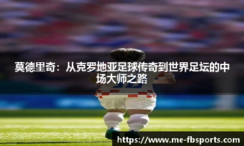 FB体育官网
