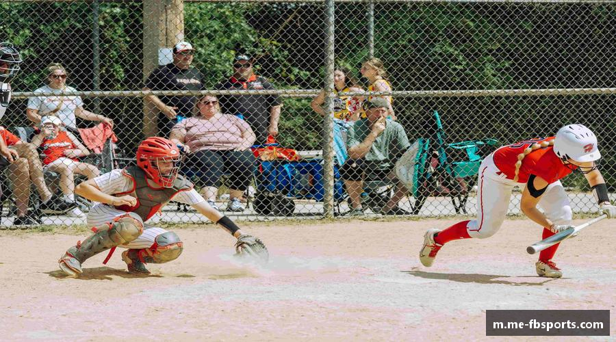 领略FB体育app下载